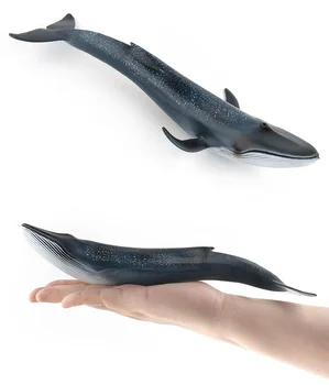 27 CM Oceán, More Simulácia Života Zvierat Model VEĽRYBA Modrá Veľryba Akcie Hračky Údaje Deti Vzdelávací Model Kolekcie Xmas Gift