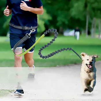 Psa na vodítku beh beh psa viesť šport nastaviteľné prechádzky ruka voľný Pás, jedinečné Reflexné psa Dvojité trakciu lano