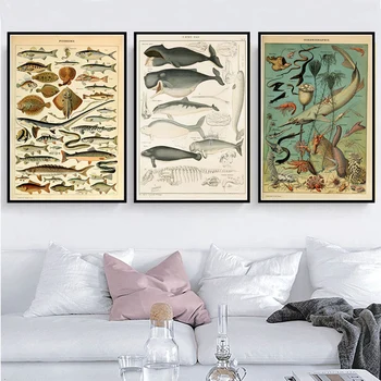 Ocean Sea Shell Ryby Zvierat Plátno Maľovaní Plagátov A Vytlačí Wall Art Obraz Vintage Život Graf Biológie Dekorácie Domova
