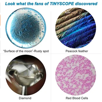 TinyScope digitálne mobilné Mikroskopom Fotoaparát Len 20x - 400x deti vzdelávacie Fotoaparát mikroskop Pre Všetky Telefónne Podporu iOS Android