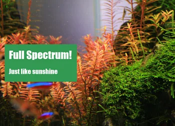 Chihiros séria C ADA style Rastlín rastú LED svetlo mini nano klip akvárium vodných elektrární, akvárium nové dorazil!
