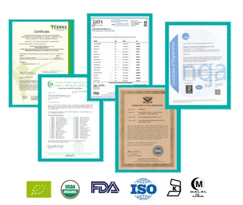 USDA a ES Certifikované bio Green Coffee Bean Extrakt 20:1 Chlorogenic kyseliny Chlorogenic kyseliny