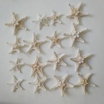 HappyKiss20Pcs/set Sea Star prírodný Star Ryby Zvierat Shell Beach Ornament Svadby Strany DIY Domáce Dekorácie Plavidlá 3-4cm