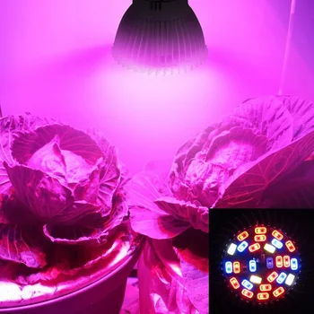 50pcs celé Spektrum E14 LED Rásť Svetlo Lampy 28 SMD Led Rásť Žiarovka pre Hydroponics Kvety, Rastliny, Zelenina Rastú Box