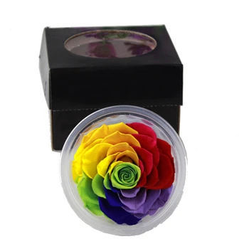 Obrie Rainbow Farba Rose Konzervované čerstvý Kvet 9-10 rose Materiál valentínske Farba DIY Zachovanie Kvet