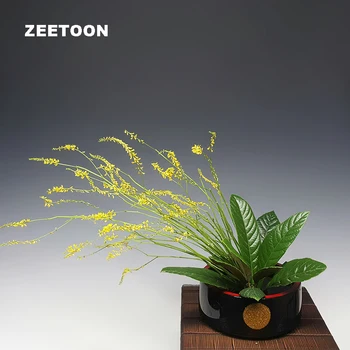 Japonský Kvety Plastové Ručne Maľované Kvetináč Hydroponické Kvet Usporiadanie Nádoby Ploché Ovocie, Jedlo, Jedlo Zásobník Stola Vázy