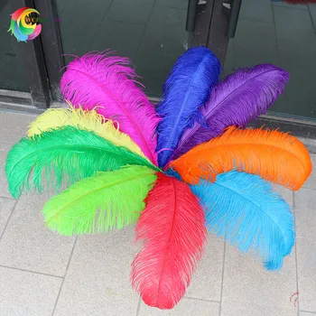 Wholasale 10pcs/veľa vysoko kvalitné farebné pštrosie perie 60-65 cm/24-26 palec Svadobné party, Karneval, výzdoba plumages