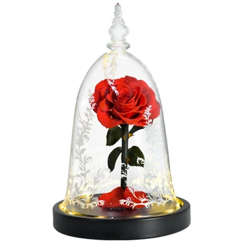 Ainyrose Kráska a Zviera Večný Rose Červené Umelé kvety V Sklenenou Kupolou s LED Svetlom pre Valentine Deň matiek Darčeky