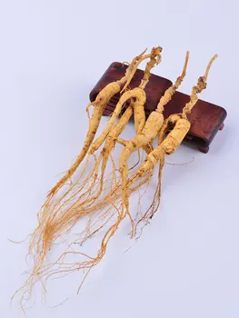 Slnko-sušené Changbai horských Wild podrastu Koreň ženšenu 15 rokov sušené wild lin xia ženšen