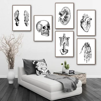 Srdce Lebky Nohy Kosti Anatómie Wall Art Plátno Na Maľovanie Nordic Plagáty A Tlač Stenu Obrázok Pre Obývacia Izba Lekár Office Dekor