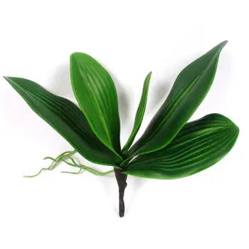 Umelé kvety, listy Phalaenopsis (mory, orchidea), list / green (zelená) / 1 zväzok