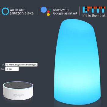 Moderný román LED svetlo Nabíjania cez USB Port Alexa Echo Domovská stránka Google Inteligentné ovládanie Farba Nastaviteľné dekorácie Nočné Lampy, Časovač Setti