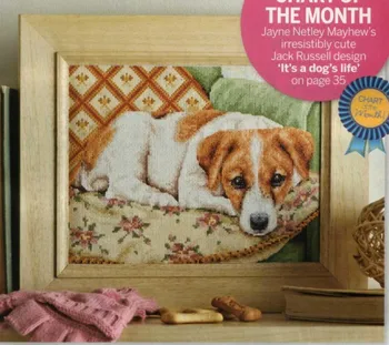 Zlato Colletcion Roztomilý Počíta Cross Stitch Kit je To psí Život Psa v Teple Doma Gauč Moje Zvieratko