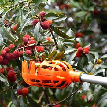 Vysoká nadmorská výška-ovocie picker Hlavu Bez Pól Kov/Plast Ovocie Zberateľ Zber Zbierame Apple Citrusové Hruška Záhradné Ručné náradie