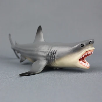 Megalodon Shark Tichom Vzdelávania Model Obrie Zub Žraloka Vodných Tvorov Žijúcich Zvierat Zoo Modelovanie Plastové Mora Výťah Hračka