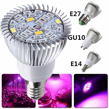 50pcs celé Spektrum E14 LED Rásť Svetlo Lampy 28 SMD Led Rásť Žiarovka pre Hydroponics Kvety, Rastliny, Zelenina Rastú Box