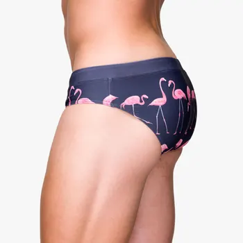 Sexy Flamingo Tlač Plavky Mens Plávanie Nohavičky Truks Bikiny Bazén S Nízkym Pásom Mužov Plavky Muž Pláži Surfovanie Plávať Šortky Batožinového Priestoru