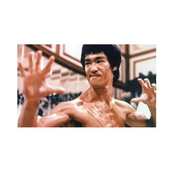 Pán Bruce Lee vlajka Dekorácie banner 90*150 cm/ 3x5ft pre zavesenie