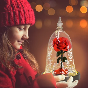 Ainyrose Kráska a Zviera Večný Rose Červené Umelé kvety V Sklenenou Kupolou s LED Svetlom pre Valentine Deň matiek Darčeky