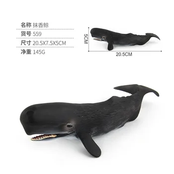Simulácia 9 typov Podmorských sea life tichom modely zvierat PVC beluga Narwhal spermií žralok veľrybí Bábiky hračky Darček