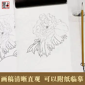 Analýza Jemné Brushwork Techniky a Originálne Kresby Kniha pre pivónia mudan / Čínskej Tradičnej Maľby Učebnica