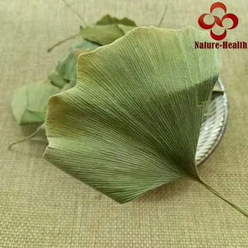 Ginkgo biloba-Vysoko kvalitné ginkgo dvojlaločné listy z prírody