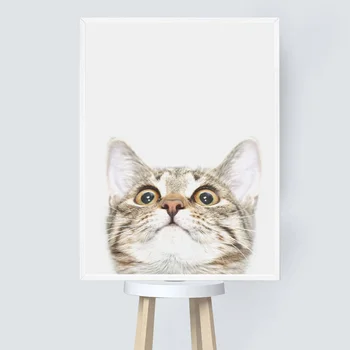 Vtipné Mačku Zvierat Plagát Na Stenu Umelecké Plátno Na Maľovanie Nordic Plagáty A Vytlačí Na Stenu Obrázky, Obývacia Izba, Detská Detská Izba Decor