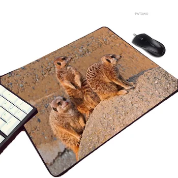 220x180x2MM Veľkosť Mini Pc, Počítačové Hry Mousepad Meerkats Zvierat Vzor Roztomilý Krásne Pet Mačka Pes Kreatívne Hobby Podložka pod Myš
