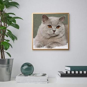 5D DIY Diamond Maľovanie Mačka Cross Stitch Plné Kolo /Štvorcových Zvieratá Diamond Výšivky Obraz Kamienky Mozaiky Domova
