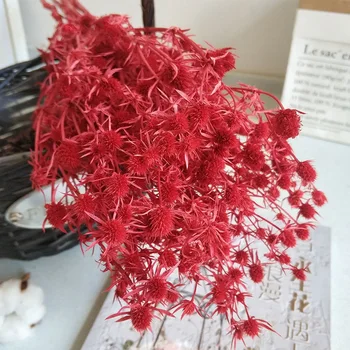 Hot-Predaj Milenca Ovocie Multicolor Konzervované Sušené Kvety Kytice Newyear 2021 Svadobné Fotografie Ploche Domov Miestnosti Dekorácie