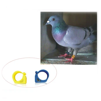 10pcs Hi -tag-S256 holub krúžok plastové Vták nohe krúžok značky Zvierat rfid krúžok tag pre sledovanie kuracie krúžky na holuby vták