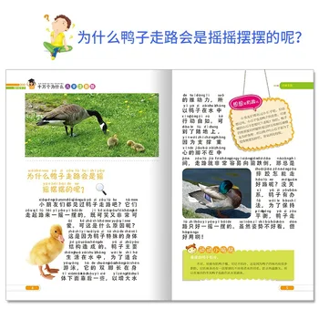 Celý Set 8-Tento Deti Fonetická Verzia shi wan, Prečo Základnej Školy Verzia mimoškolské Knihy Čína Mladistvých a DETÍ