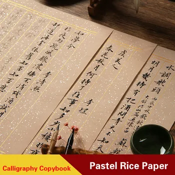 Su Shi & Li Yu & Li Qingzhao Poézia Kaligrafie Copybook Malé Pravidelné Písmo Štetec, Pero Praxi Pastel Videli Zlato Papier Xuan