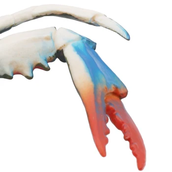 Nové Simulácie Krab Model Morské Živočíchy Sealife Big Blue Nohy Kraby Akčná Hračka Údaje Darčeky pre Deti Fotografie Rekvizity