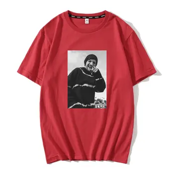 Spevák Louis Tomlinson T Shirt Ženy Punk Estetické Vintage Tumblr Krátky Rukáv, Bavlna Plus Veľkosť Skipoem Oblečenie Top Tees