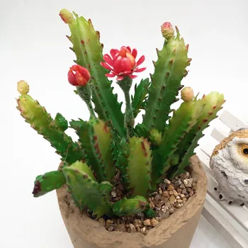 7pcs Cactus Flower Succulents Rastliny DIY Doplnky, Umelé Kvety, Svadobné Výzdoba Domov, Vianočné Dekorácie, Remeselné