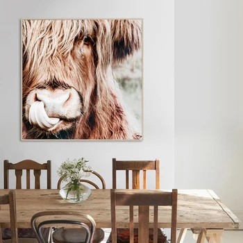 Nordic Highland Krava Plagát Dobytka Vytlačí Irvine Zvierat Umelecké Plátno na Maľovanie obrazov na Stenu pre Obývacia Izba Domova Bez Rámu