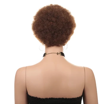 Krátke Vlasy Kinky Afro Kučeravé Parochňu pre Čierne Ženy Cosplay Parochňu Non Čipky Parochne Syntetické Tmavé Svetlo Hnedé Vlasy Expo Mesta