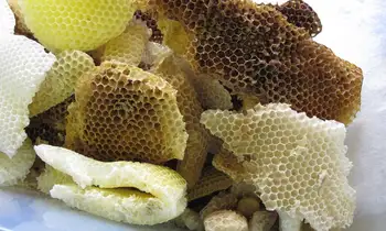 AKARZ Slávnej značky Organických Prírodných Čisto biely včelí vosk Pelety Med Kozmetické Triedy Rúž Mydlo pre starostlivosť o pokožku DIY surovín