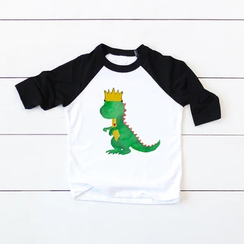 Dinosaurov Narodeniny Tričko Dlhý Rukáv T-Shirt Narodeniny Dinosaura Ralgan Party Tričko Dinosaura Tému Darček Chlapci Módne Čaj