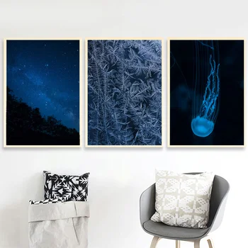 Modrá Hviezdne Nebo Ľadový Kvet Medúzy Wall Art Plátno Na Maľovanie Nordic Plagáty A Potlačou Obrazov Na Stenu Pre Obývacia Izba Domova