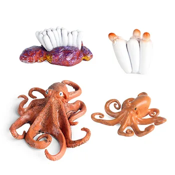 More Simulácia Života Morských Živočíchov Squid Octopus Cyklu Rastu Model Akčná Figúrka Postavy Dieťa Darčeky Vzdelávania Detí, Hračky