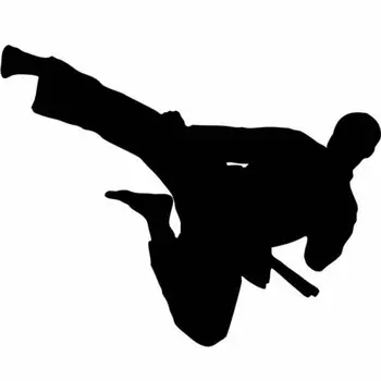 Kórejské Bojové Umenie, Vinyl na Stenu-Nálepky Taekwon-do Klub nástenné Maľby Karate, Kick Stenu Odtlačkový Populárne Športy Plagát Chlapci Izba Dekor AZ428