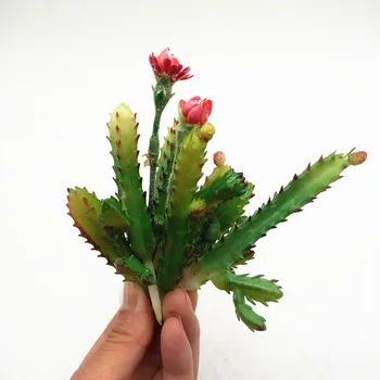 7pcs Cactus Flower Succulents Rastliny DIY Doplnky, Umelé Kvety, Svadobné Výzdoba Domov, Vianočné Dekorácie, Remeselné