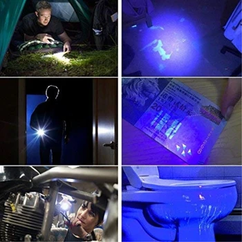 2 v 1, UV LED Baterka Linternas Horák, 395nm Ultrafialové Moču Detektor pre kempovanie turistika Koberec Pet Moču Chytiť Scorpions
