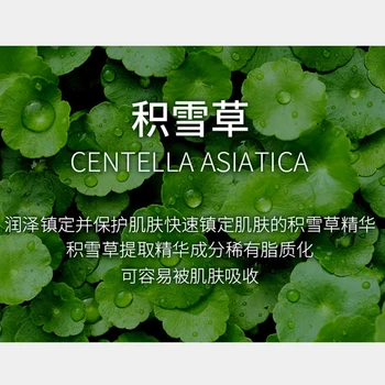 Centella Asiatica Hydratačný Výživný Jemné Oprava Hodvábne Pleťová Maska Zúčtovania Hydrát Hladké Krásnu Pokožku 10 Ks