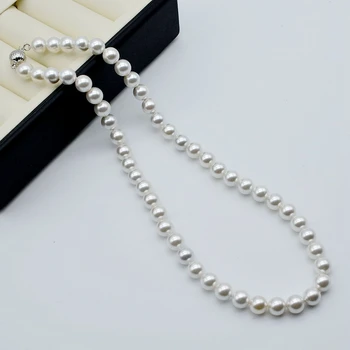 Dámy náhrdelník, 8mm mother-of-pearl náhrdelník, biela kolo morských mother-of-pearl náhrdelník, vysoký lesk, krátky náhrdelník
