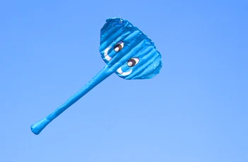 New Vysoká Kvalita 1,4 m dvojriadkový Slon Softvér Kite Športy na Pláži S Kite Rukoväť a String Jednoduché Lietať