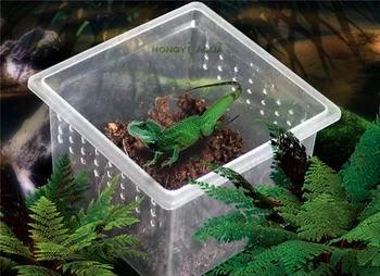 5 ks/veľa plastové hmyzu kŕmenie box udržať palác okno plastové okno plaz zvierat biotopov malé okrúhle okno malé námestie, box