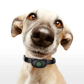 Pet USB Automatický Tréning Golier Pet Nastaviteľné Anti Štekať Golier pre Poslušnosť Malé Stredné Veľké Psy Pet Školenia Dodávky